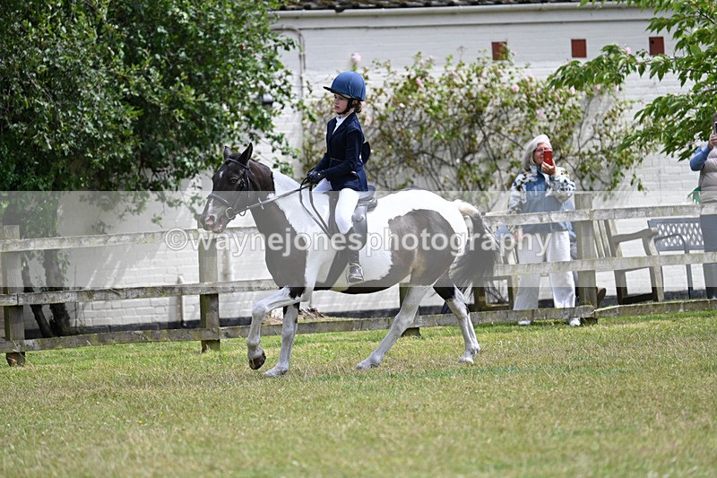 WJ7_9767 - Class 8 Ridden Veterans