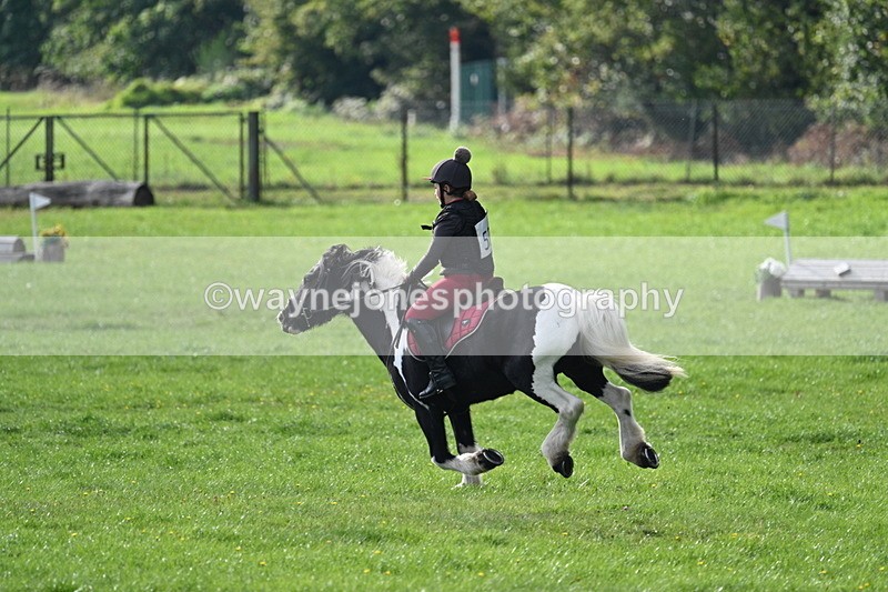 WJ7_3763 - 40cm Time 10:26 to 10:42