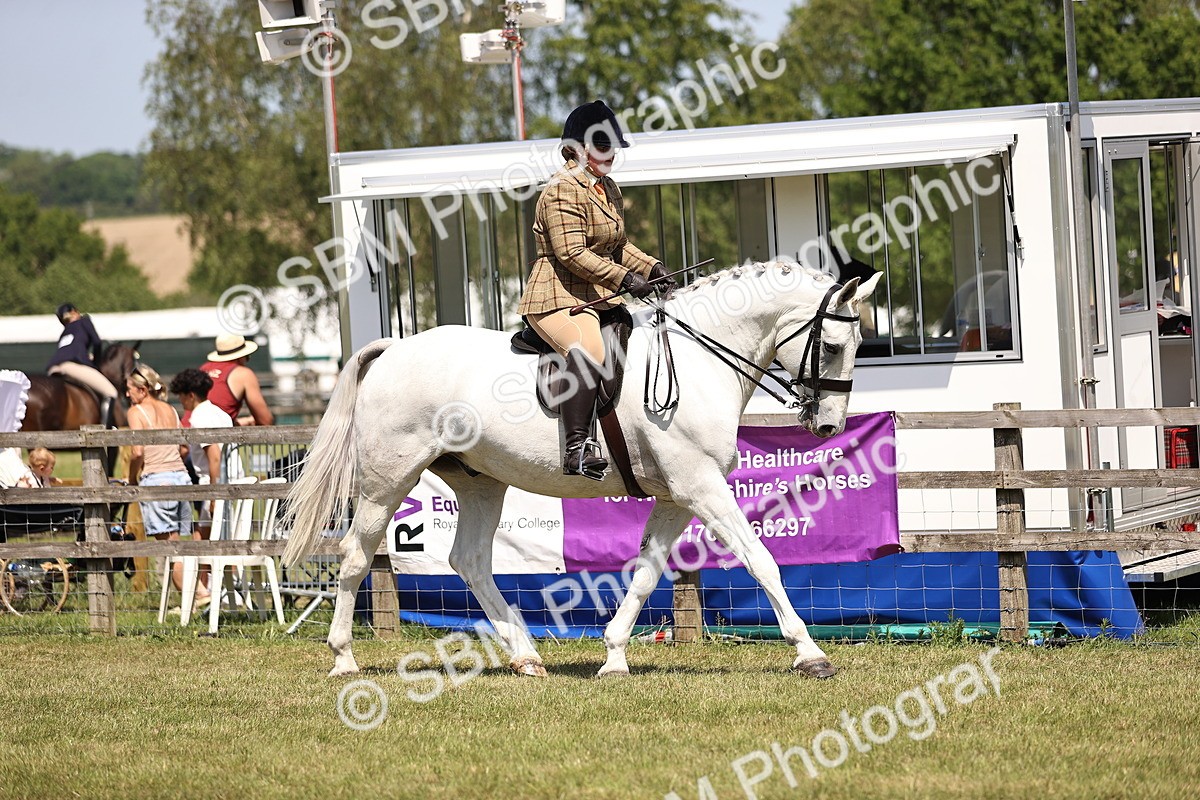 SBM_16207 - Class 79-80 - LIHS BSHA Rising Star Ridden Hunter