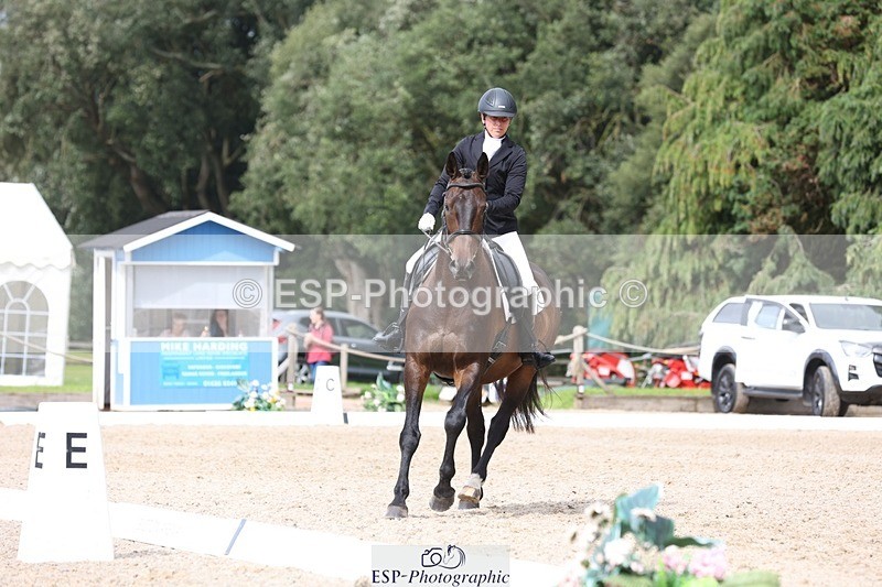 230812-153322-05164 - Cls 5 Novice Bronze 15.00 to End