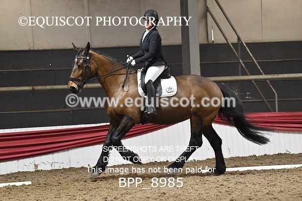BPP_8985 - NOVICE 6