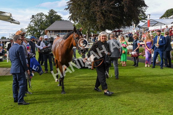 260823-Race 5-Summerghand-1218 - Race 5 Sky Bet Constantine Handicap