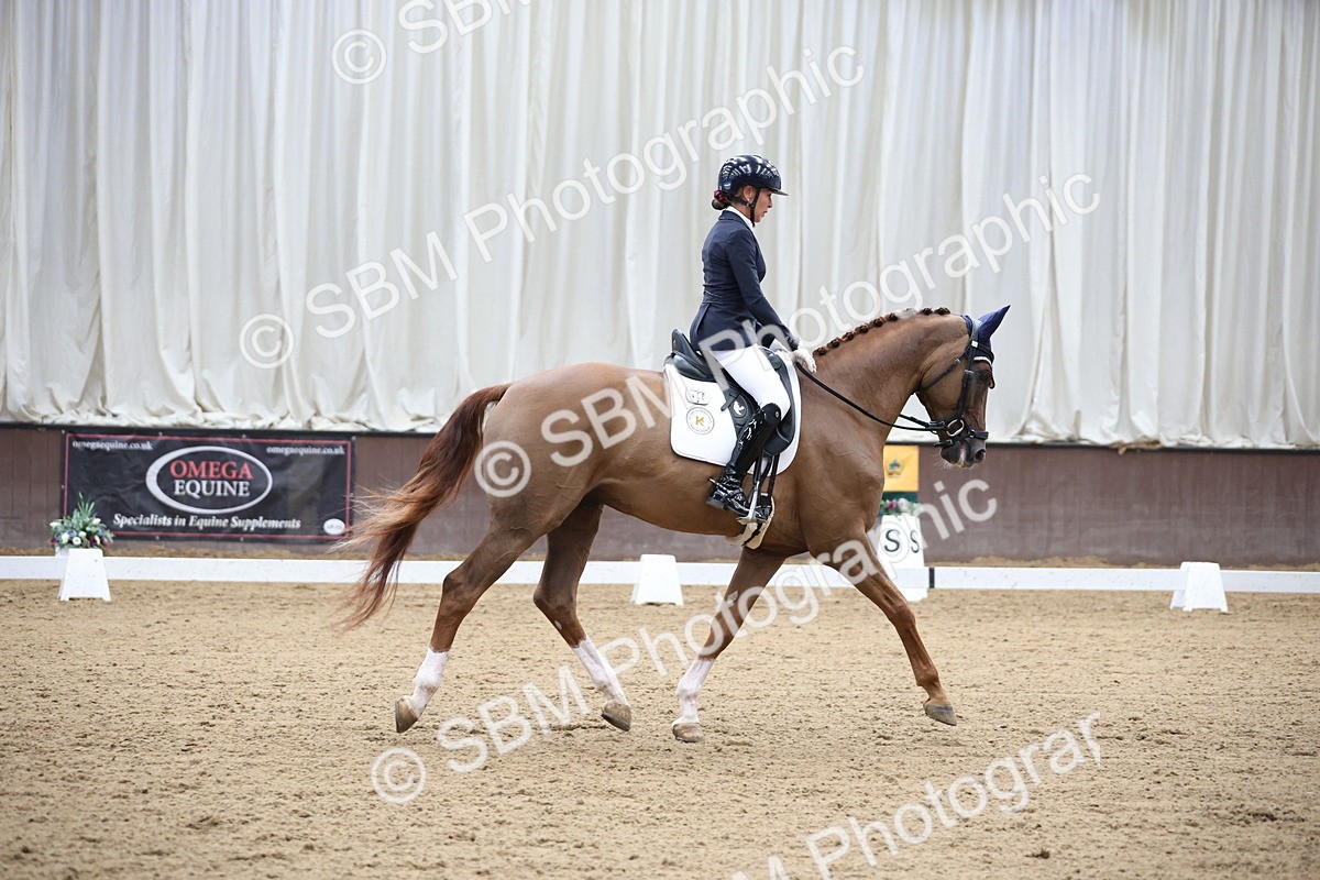 SBM_002909 - Class 5 - Novice 6 Gold - 10.24-11.30
