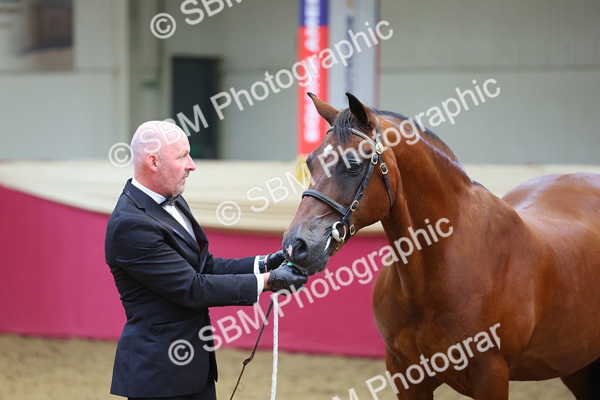 SBM_23229 - Supreme Final - IH Champion