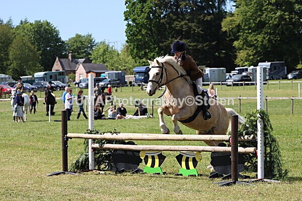 IMG_4256 - Working Hunter