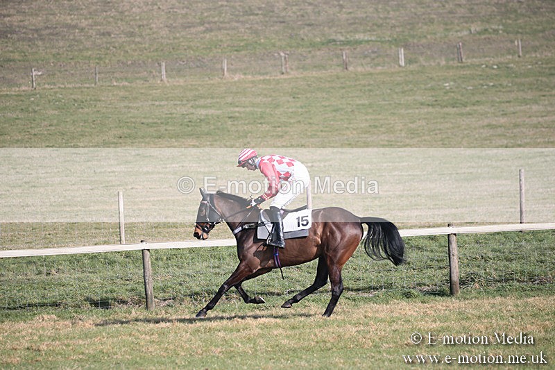 PtP 230219 144 - Vine & Craven Point-To-Point - Barbury 23/02/19