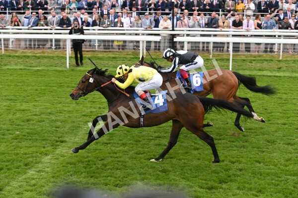 yr13052022r2-31 - Race 2 2.25pm Oaks Farm Stables Fillies' Stakes (registered as the Michael Seely Memorial Stakes)