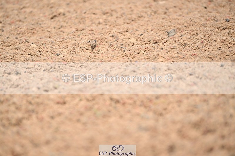 240621A-135836-04196 - Cls 8 BD Elementary 53