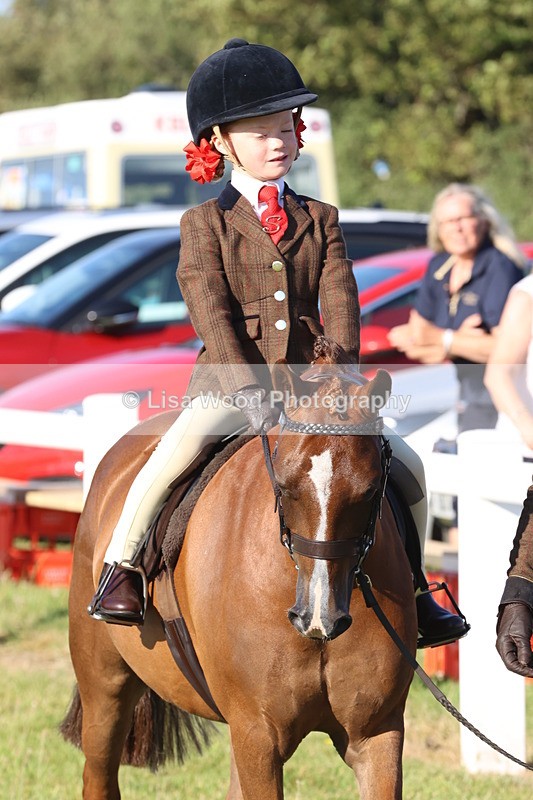 JPP_0659 - Class 16: Cornish Combination Leading Rein