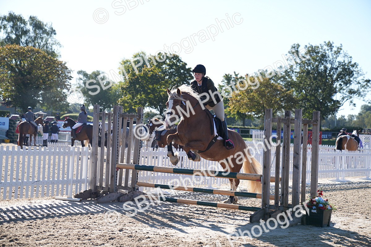 SBM_15997 - J60 - Clear Round 75cm