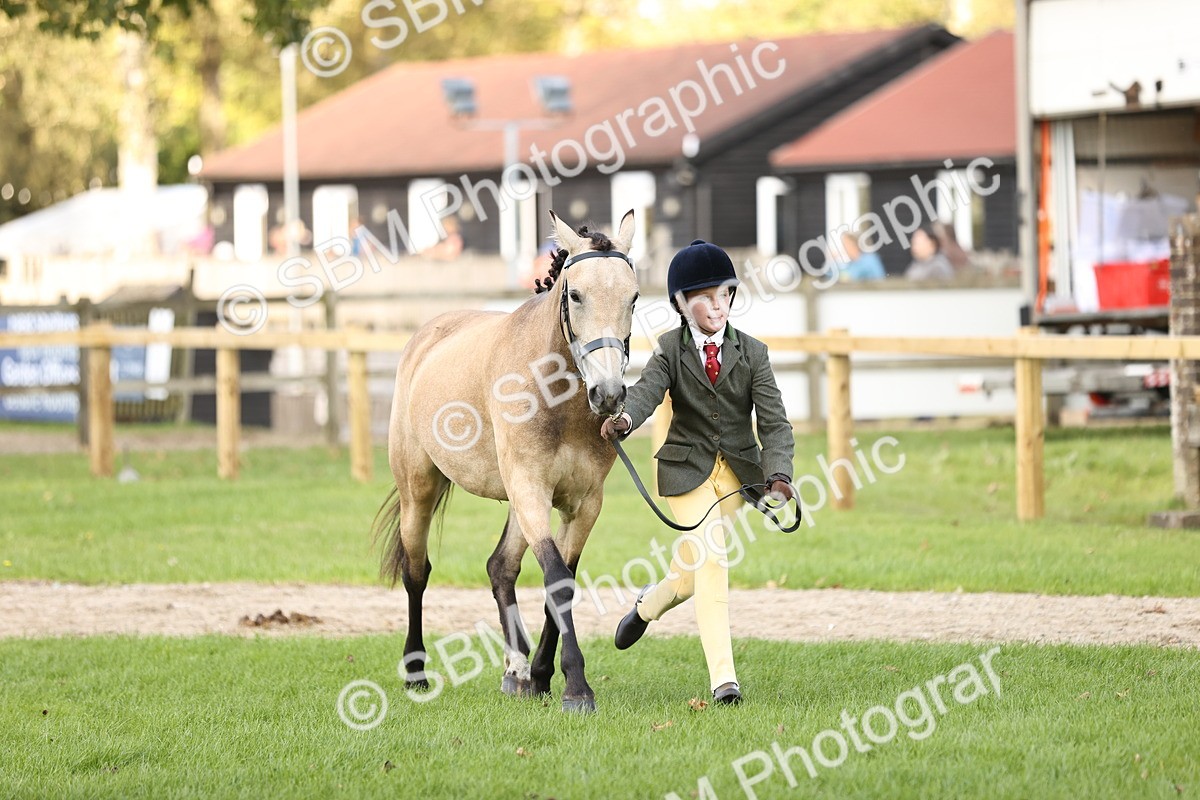 SBM_26263 - S5 - Novice & Newcomers In Hand