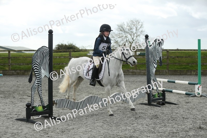 20260412-0699 - Show Jumping