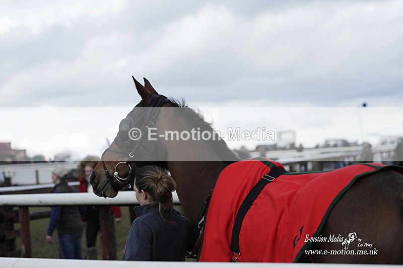 PtP 180323 1034 - Shelfield Park Races with Croome & West Warwickshire Hunt  18/03/23