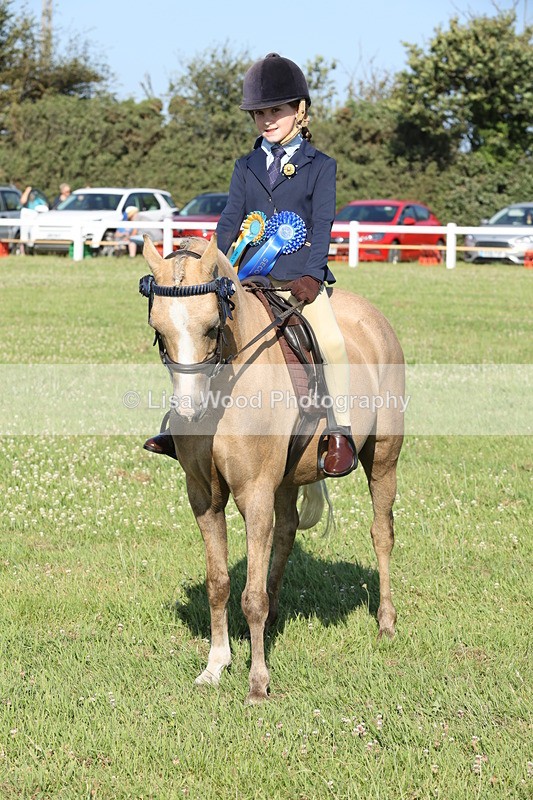 JPP_1199 - Class 17: Cornish Combination First Ridden