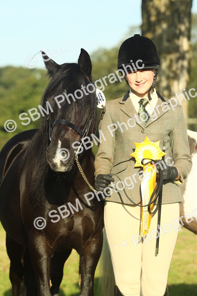 SBM_58484 - S37 - Starters In Hand Showing