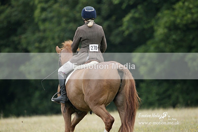 BVRC 030721 3 - Bourne Valley Riding Club Dressage 03/07/21