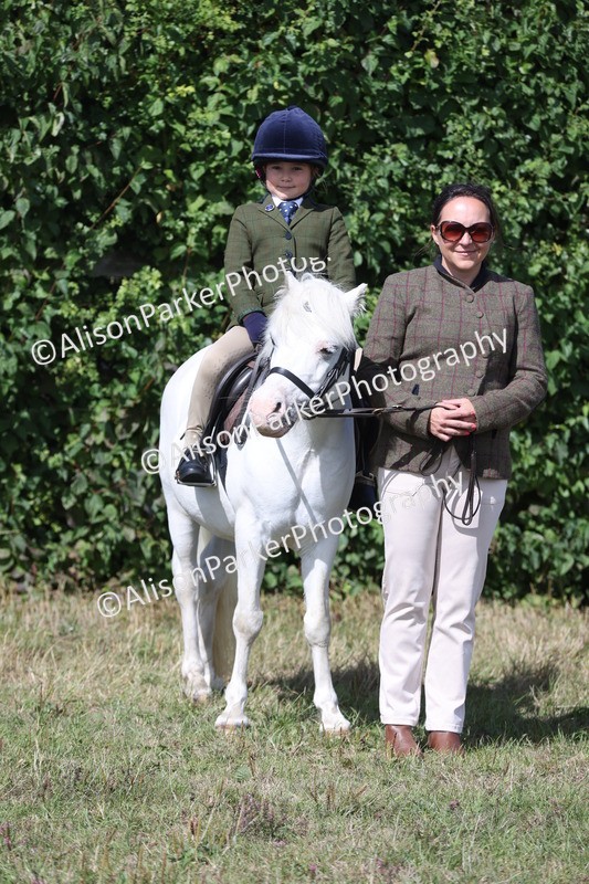 20250831-2514 - Class 16 - Family Pony