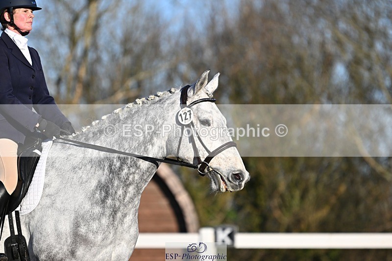 250125-092234-00040 - Dressage - CT Class 1 & 2 Intro 1