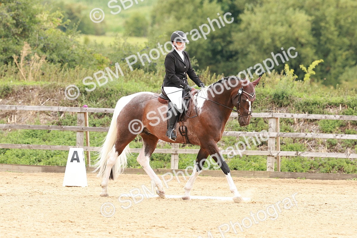 SBM_002748 - Novice 2