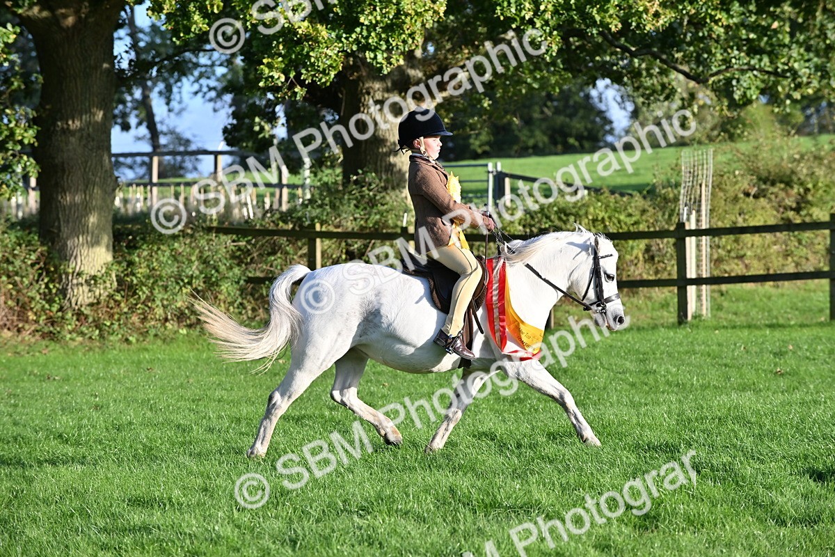 SBM_52318 - First Ridden Supreme Championship