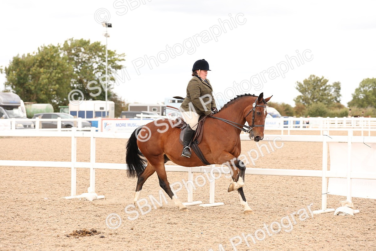 SBM_16487 - Class 212 - Ridden Hunter - Small