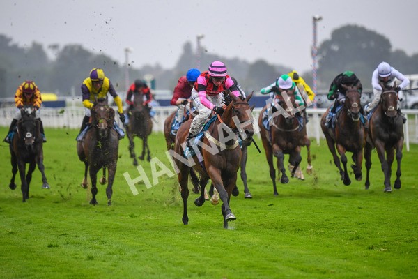 140723-Race 4-Andaleep-0385 - Race 4 3.50pm Azets Handicap