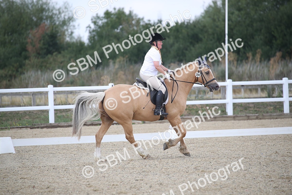 SBM_008193 - Novice 5 - 10.56-13.12