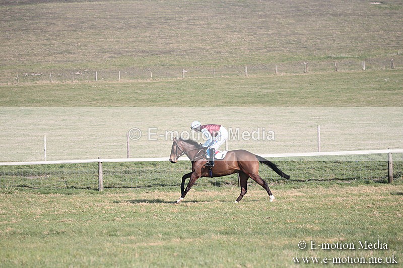 PtP 230219 186 - Vine & Craven Point-To-Point - Barbury 23/02/19