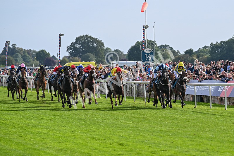 060926-Race 6-Power Fizz-8743 - Race 6 4.25pm Eboracum Security Handicap