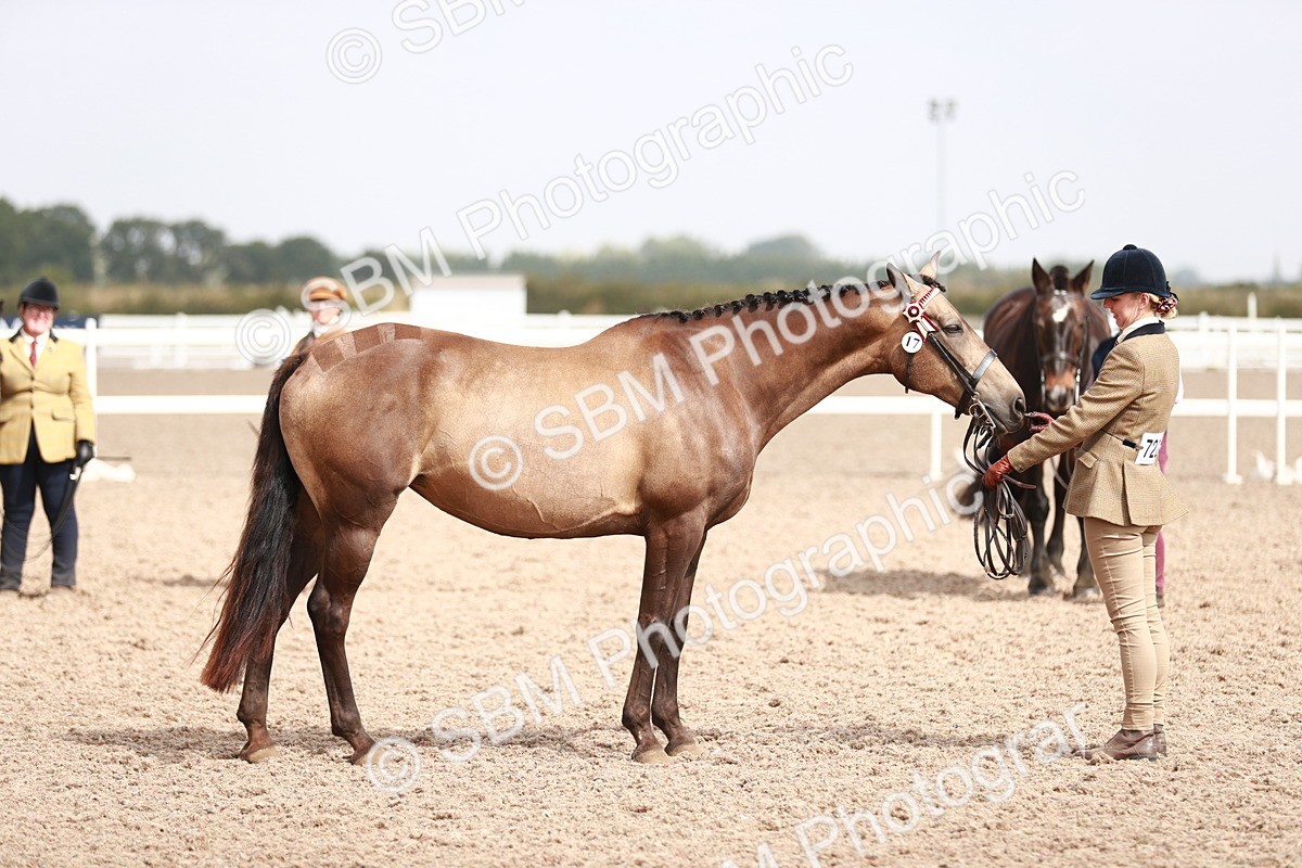 SBM_13234 - Class 208 IH Veteran Horse