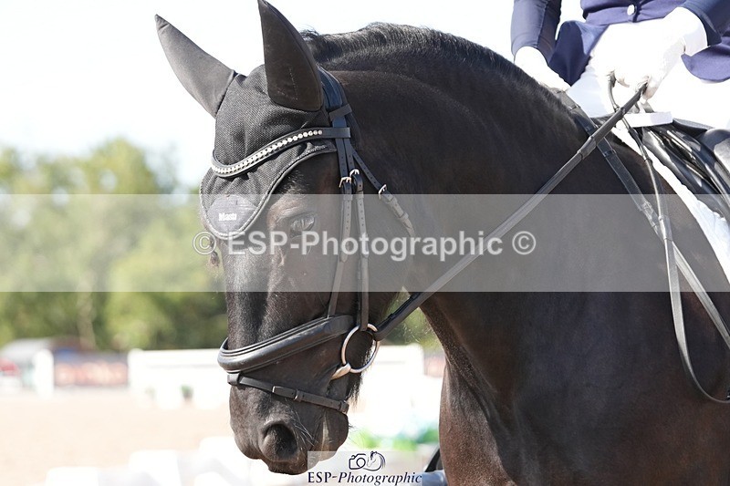 250817-162951-11719 - 188-Marina.GreenawayHynholme.Gladiator