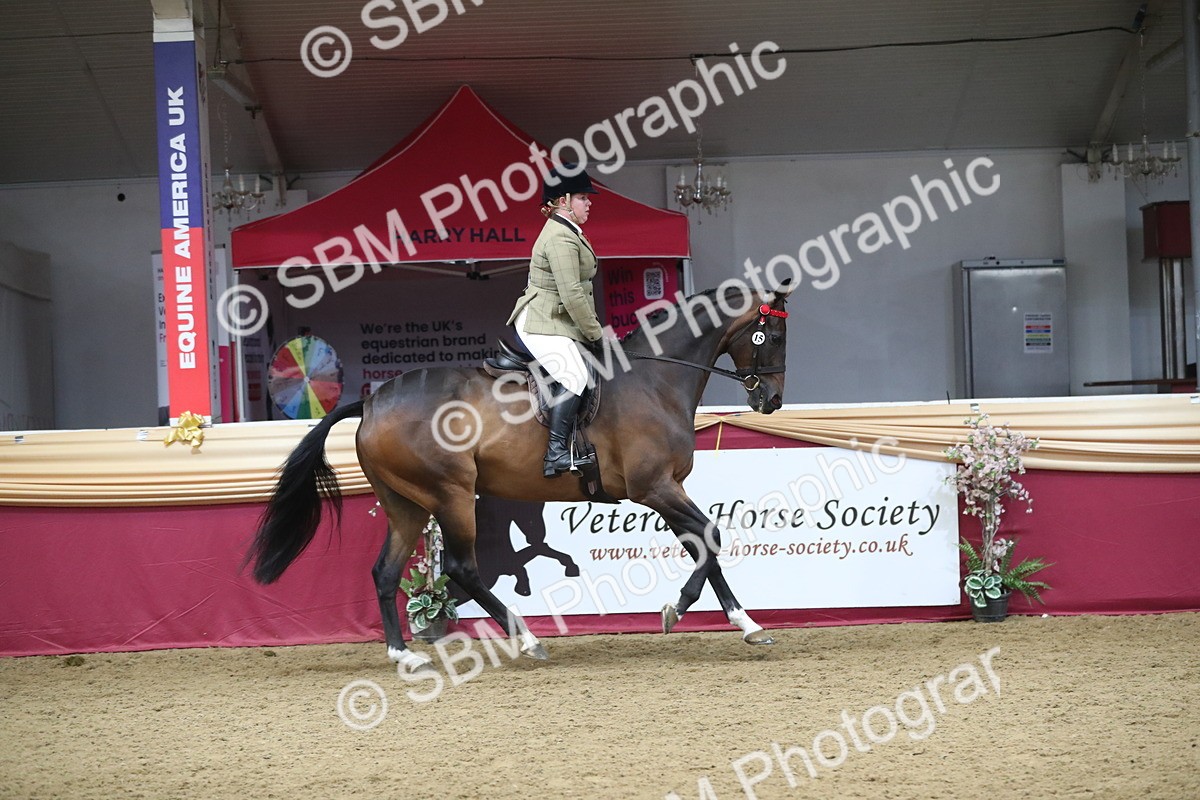 SBM_12335 - Class 108 Ridden Retired Racehorse- Pre Judging