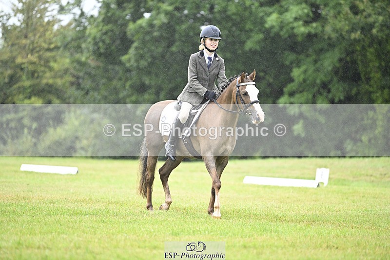 240824X-093328-21339 - D70 Section A and B 8.30 to 9.30