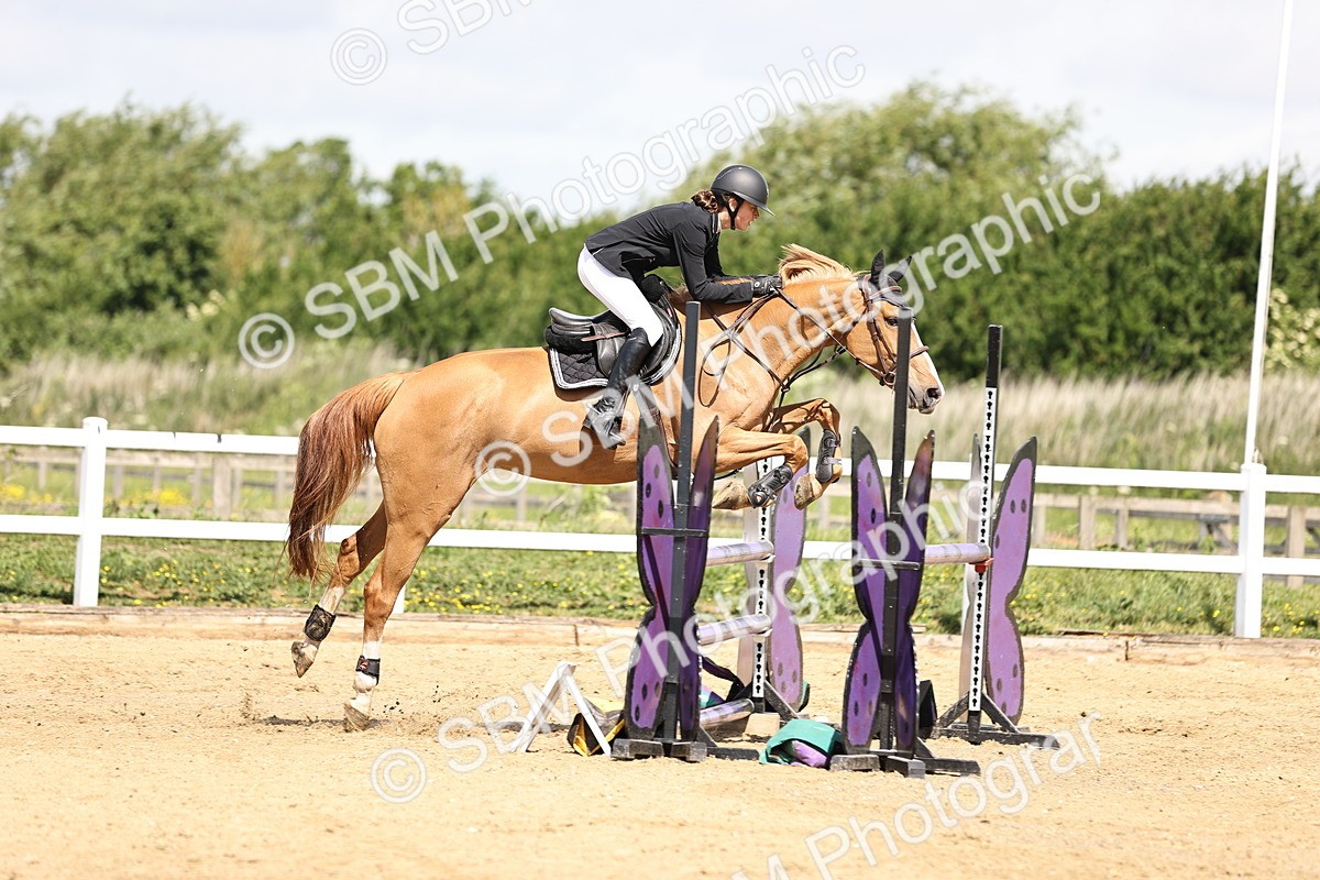 SBM_002193 - Class 9 - Senior British Novice - 90cm