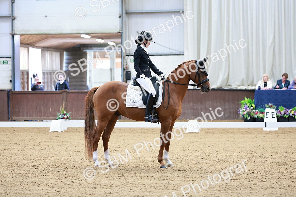 SBM_016765 - Class15 - FEI Pony