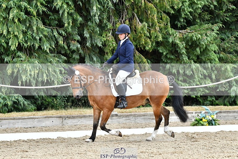 260801A-125919-04111 - Prelim Bronze Break - End