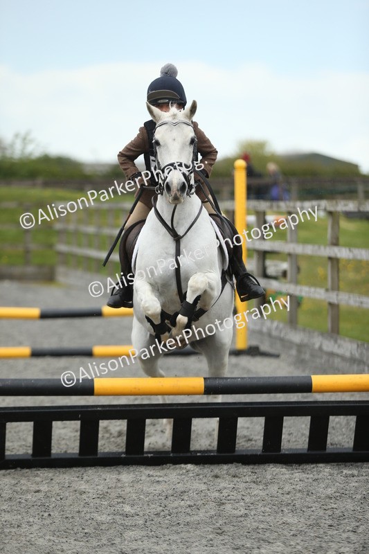 20260412-1867 - Show Jumping