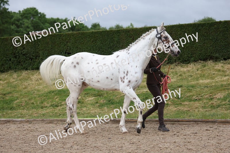 20250524-0096 - Class 2 - Youngstock