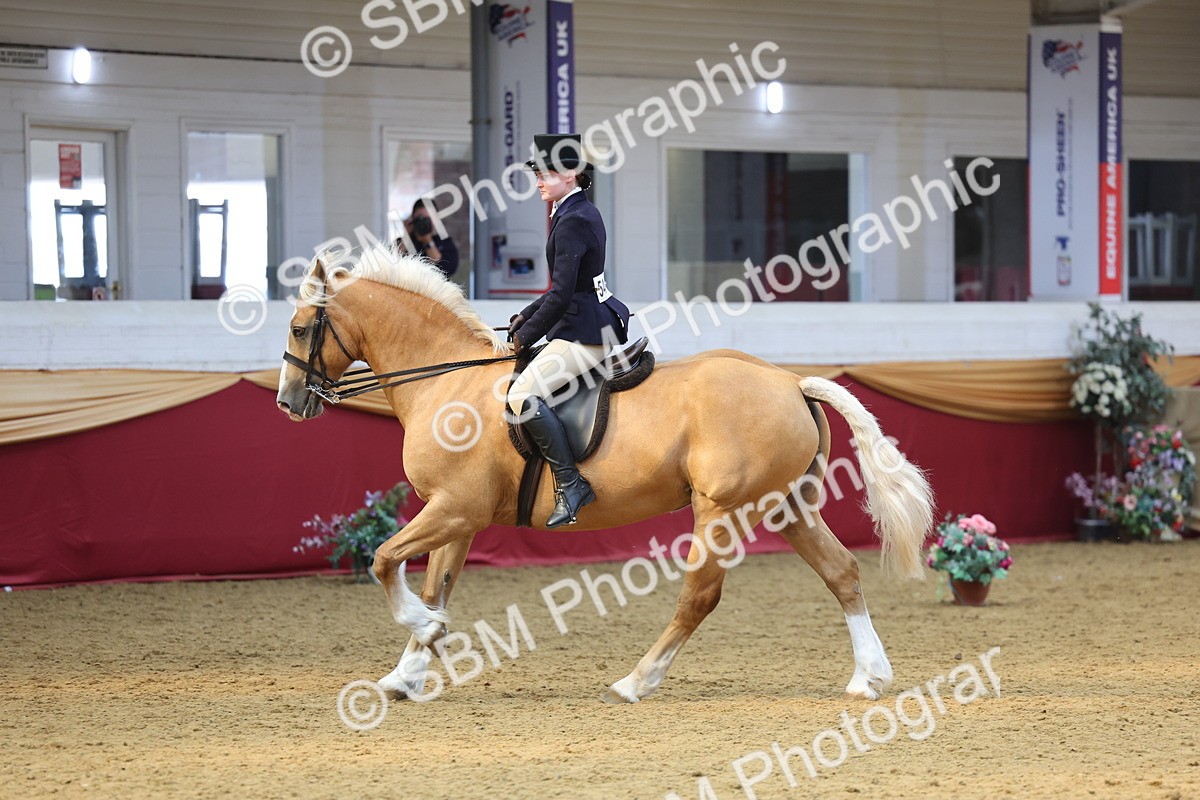 SBM_24456 - Class 906 - Supreme Final - Ridden Pre Vet