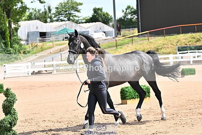 240718A-105241-01028 - Trot Up 11am to 12pm