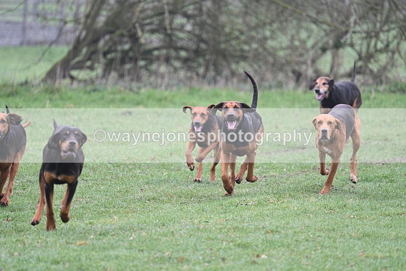 WJ7_0045 - Line 1 cam A