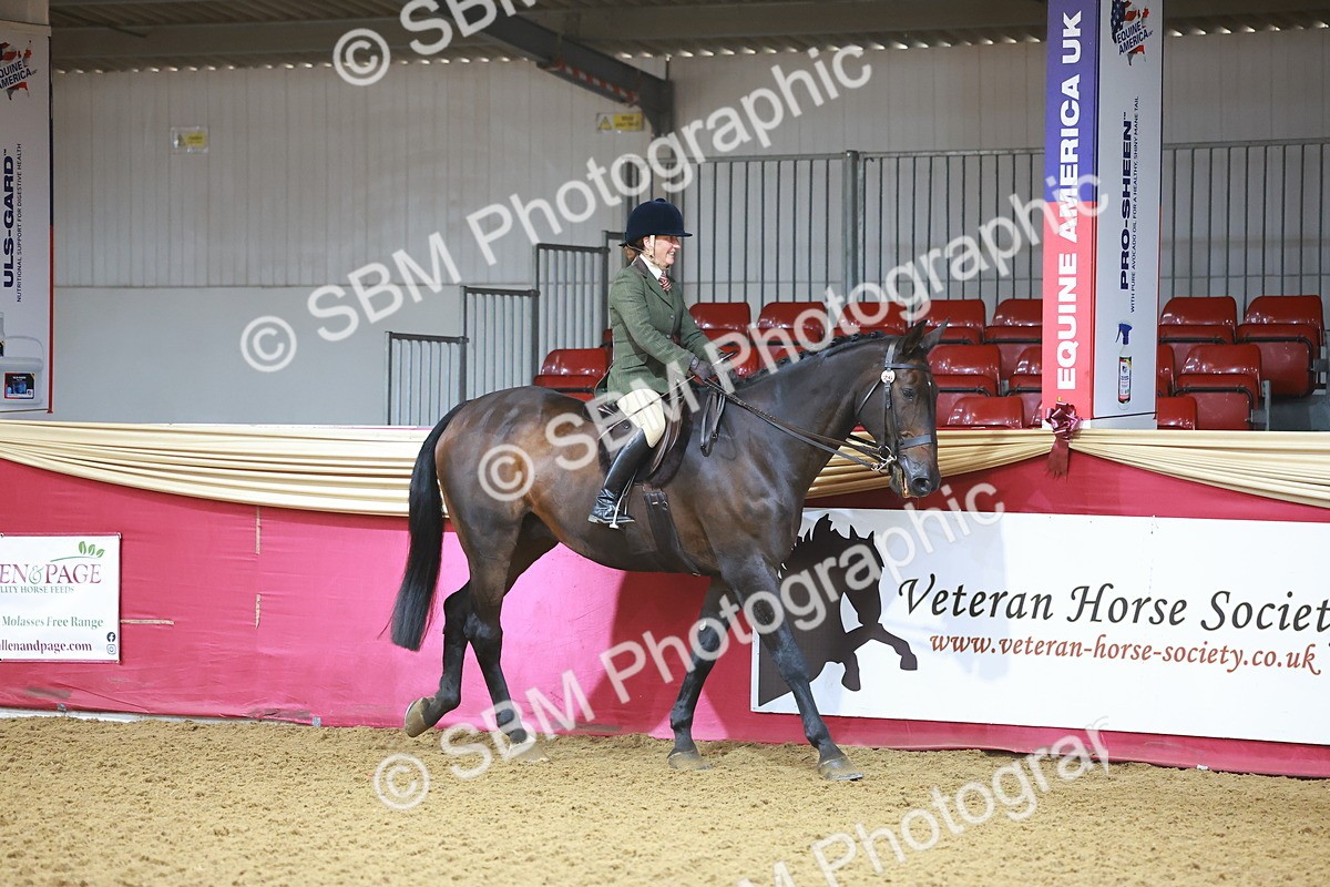 SBM_07562 - Class 101 - HOYS Veteran Qualifier - Ridden Diamond