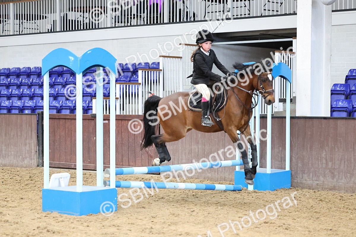 SBM_007757 - Class 3 - 60cm showjumping