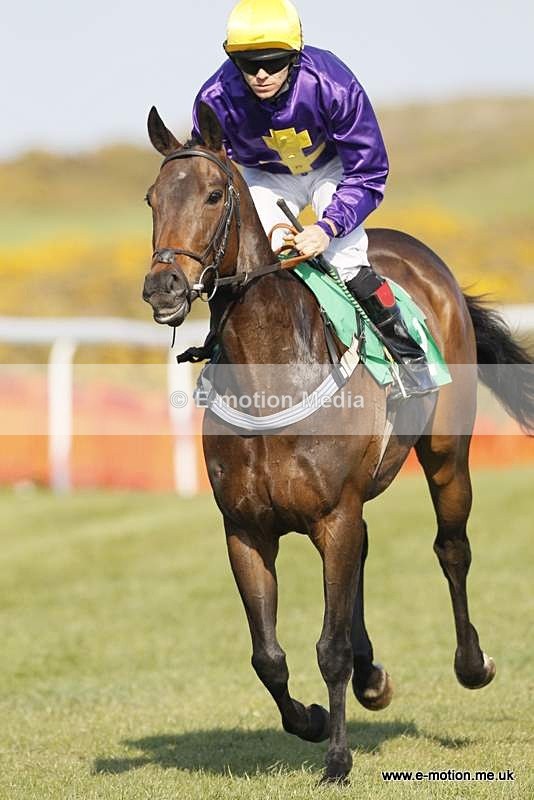  GRD 030510 202 - Guernsey Race Day 03/05/10