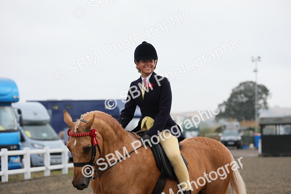 SBM_22343 - Class 807 - Young Rider 11 to 16 Yrs