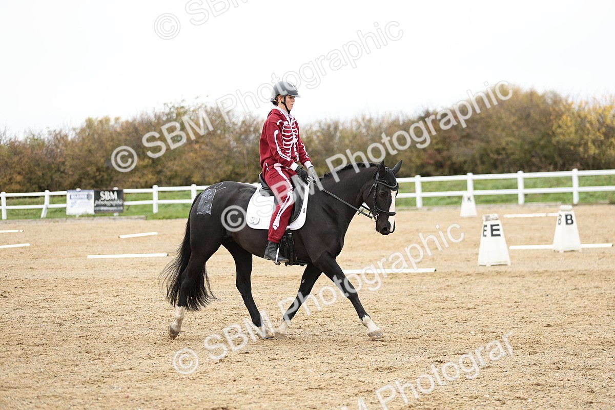 SBM_003696 - Class 9-12 - Novice 2 Elementary 3