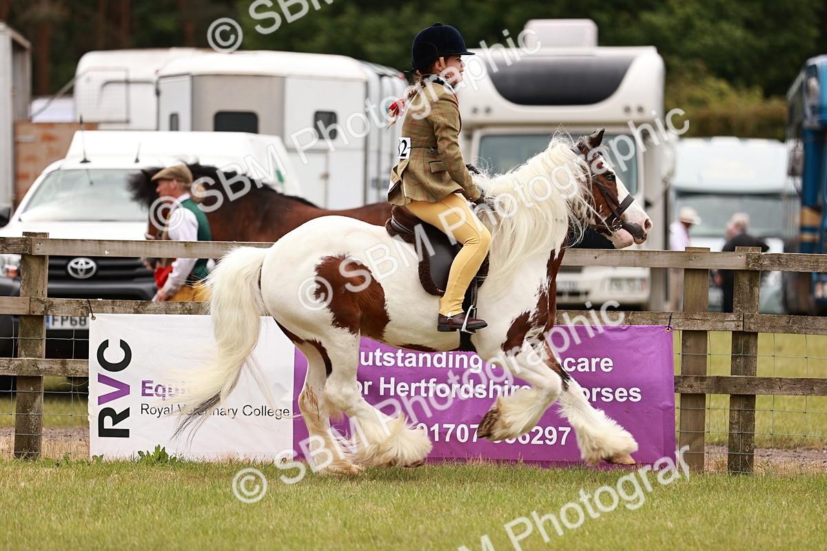 SBM_06206 - Class 39-41 TGCA In Hand and Ridden