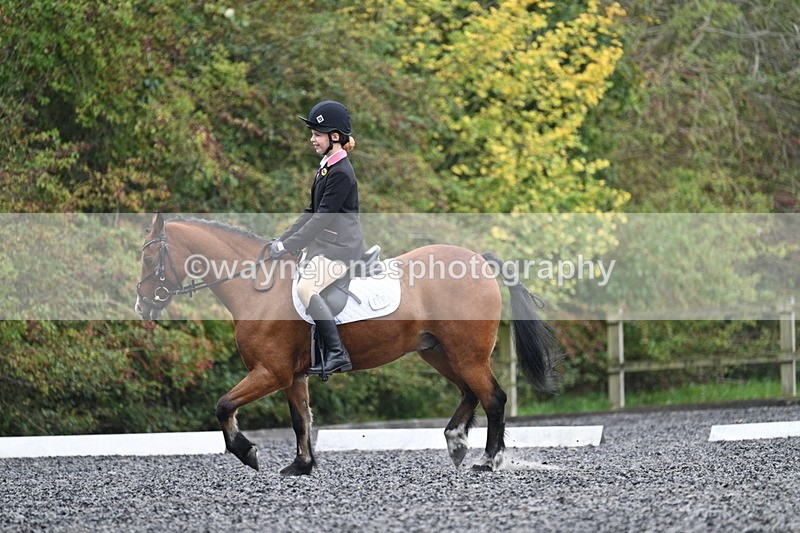 WJ7_3929 - Time 11:04 to 11:38