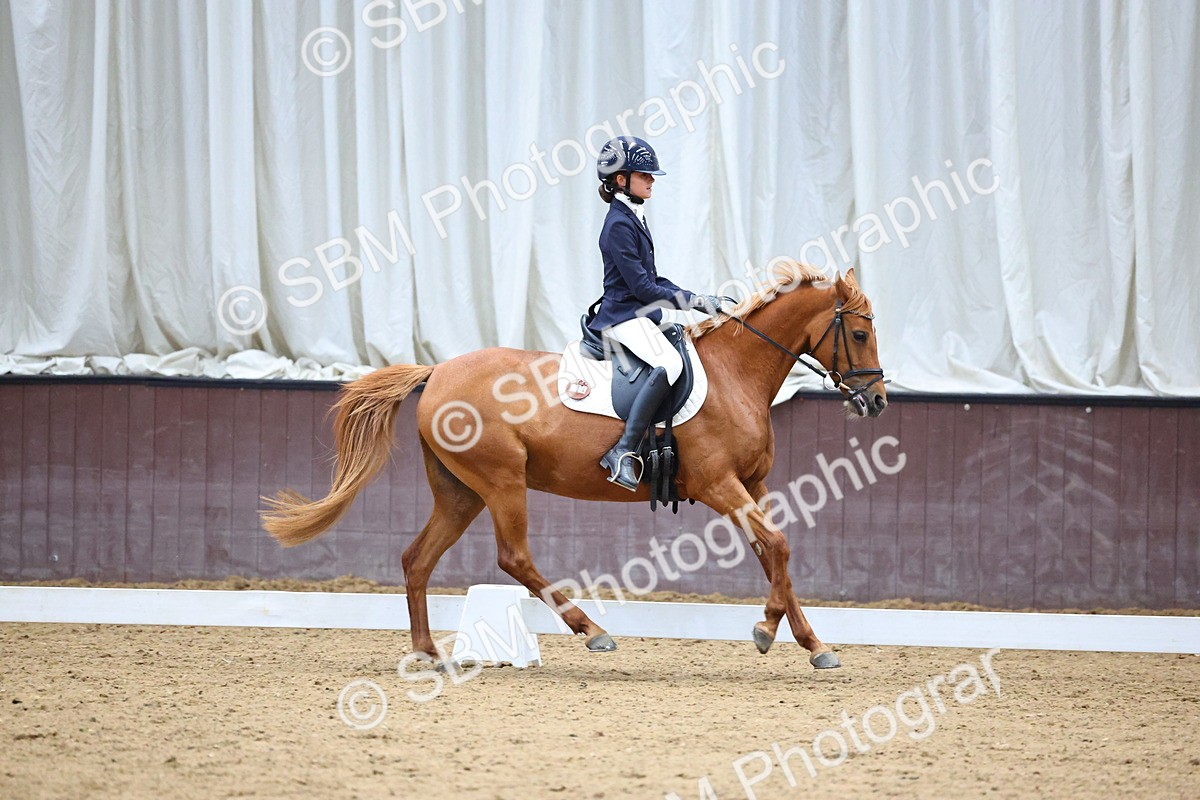 SBM_003979 - Novice 2