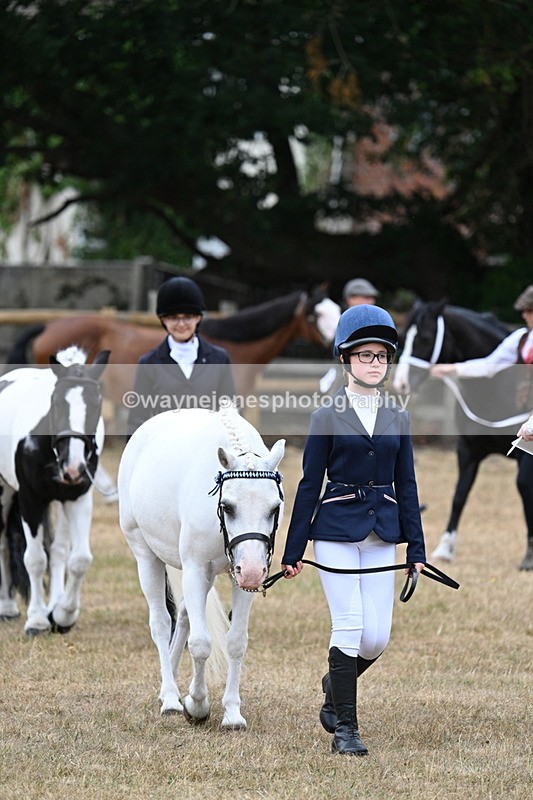 WJ7_8068 - Class 4 Prettiest Mare up to 14.2hh